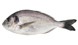 BREAM